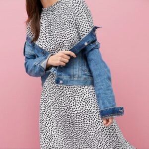 J crew Elegant Black and White Polka Dot Dress size 14